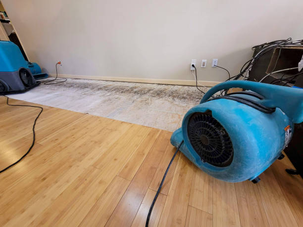 Professional Flood Damage Cleanup technician working in Dittmer, MO